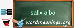 WordMeaning blackboard for salix alba